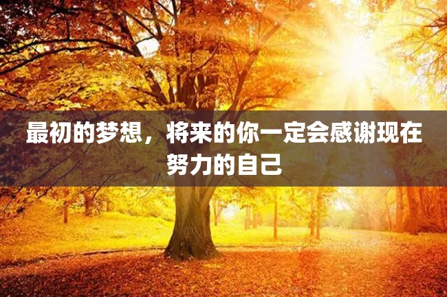 最初的梦想,将来的你一定会感谢现在努力的自己