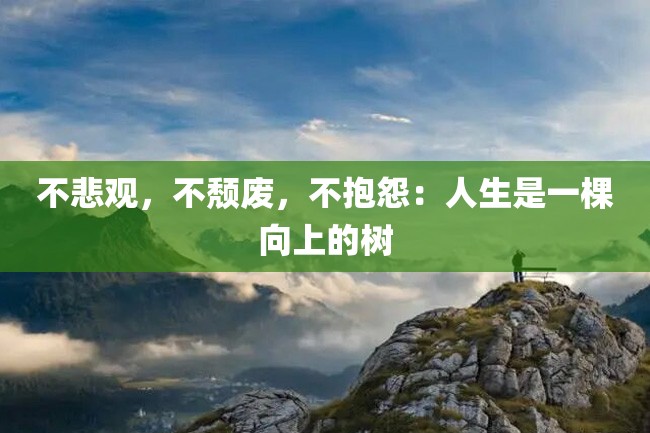不悲观,不颓废,不抱怨:人生是一棵向上的树