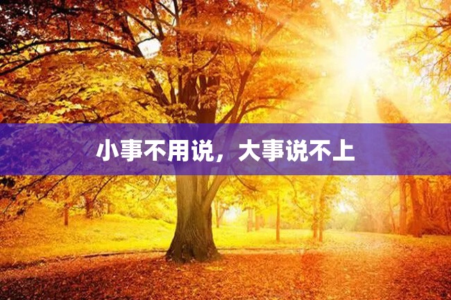 小事不用说,大事说不上