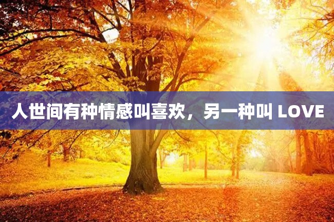人世间有种情感叫喜欢,另一种叫 LOVE
