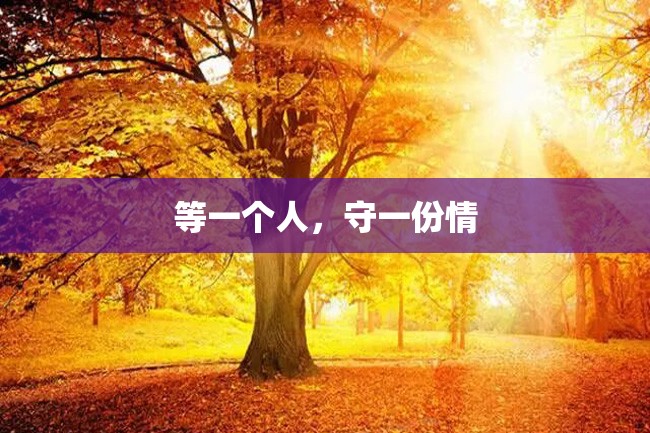 等一个人,守一份情