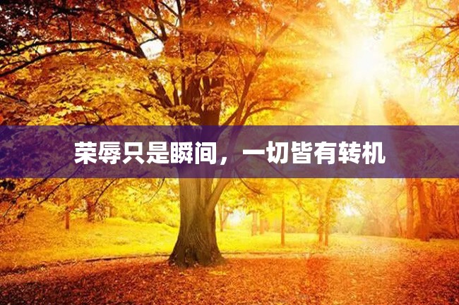 荣辱只是瞬间,一切皆有转机