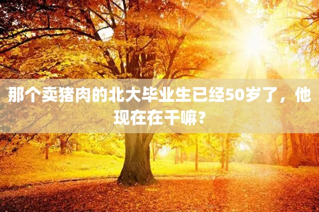 那个卖猪肉的北大毕业生已经50岁了,他现在在干嘛?