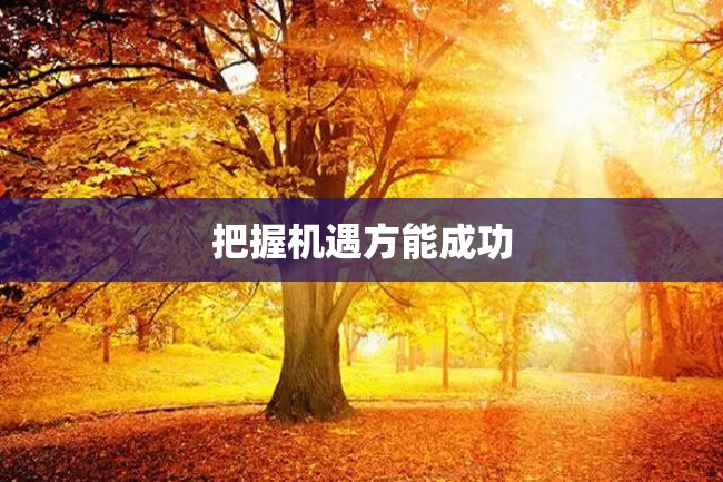 把握机遇方能成功