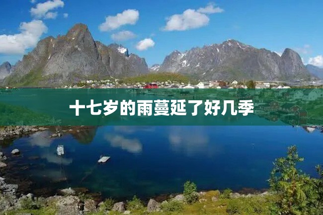 十七岁的雨蔓延了好几季