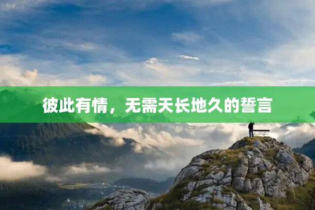 彼此有情,无需天长地久的誓言
