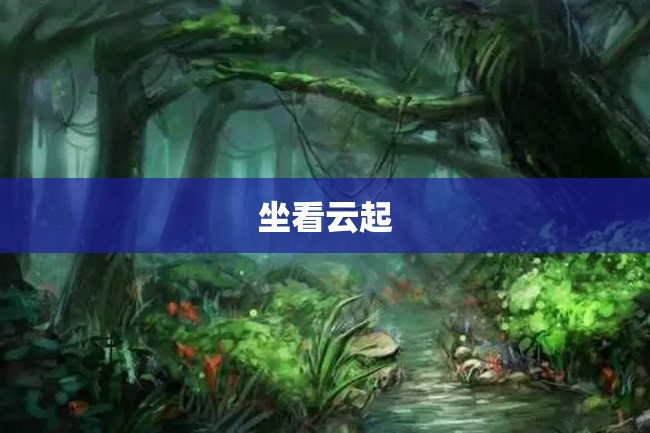 坐看云起