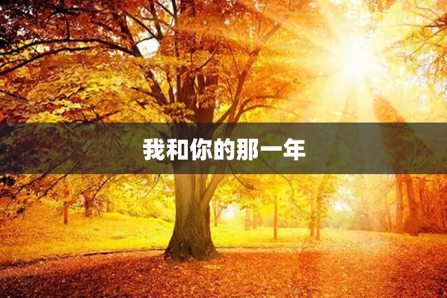 我和你的那一年