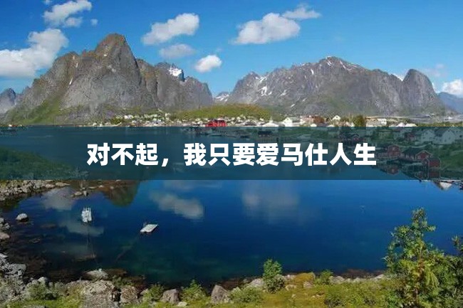对不起,我只要爱马仕人生