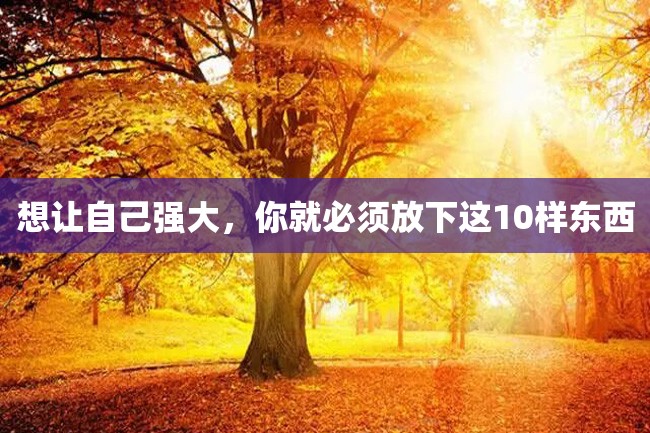 想让自己强大,你就必须放下这10样东西