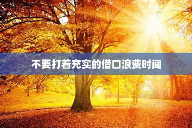 不要打着充实的借口浪费时间