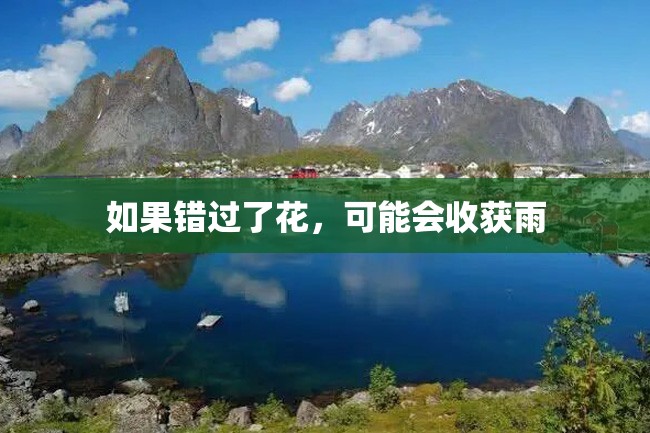 如果错过了花,可能会收获雨