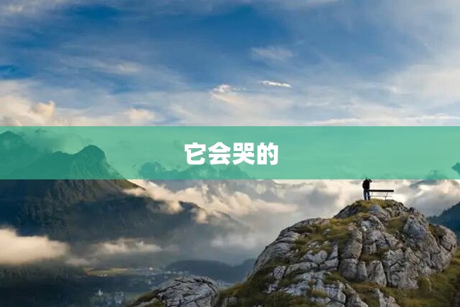 它会哭的
