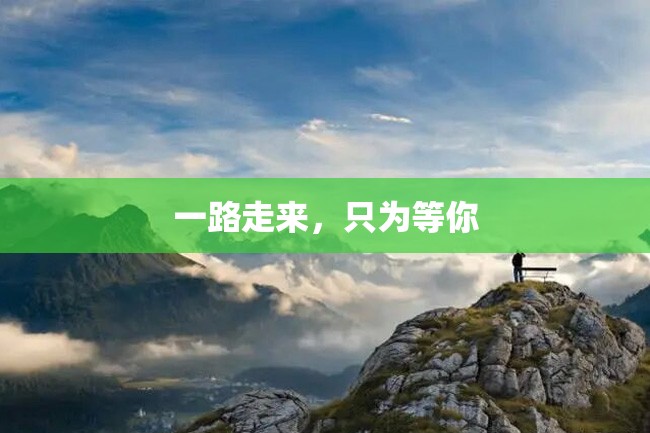 一路走来,只为等你