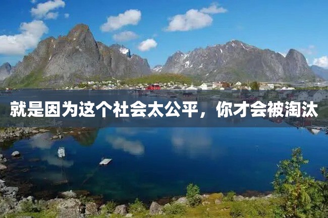 就是因为这个社会太公平,你才会被淘汰