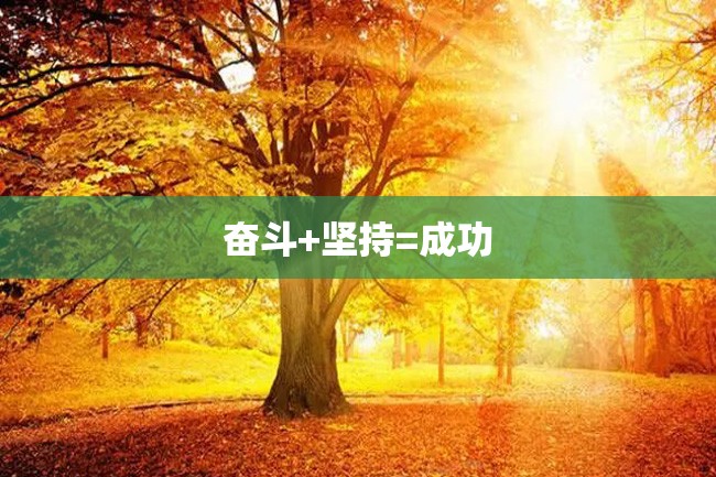 奋斗+坚持=成功