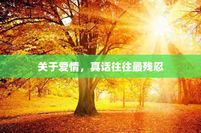关于爱情,真话往往最残忍