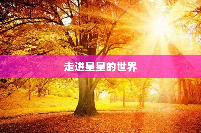 走进星星的世界