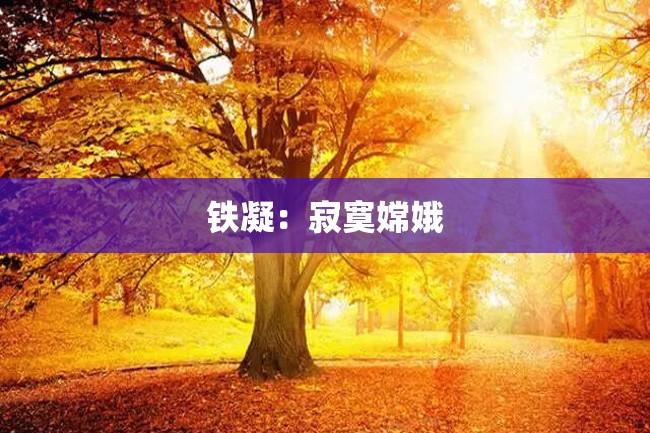 铁凝:寂寞嫦娥