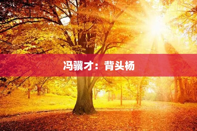 冯骥才:背头杨