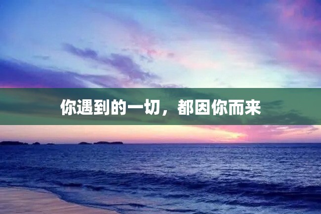 你遇到的一切,都因你而来