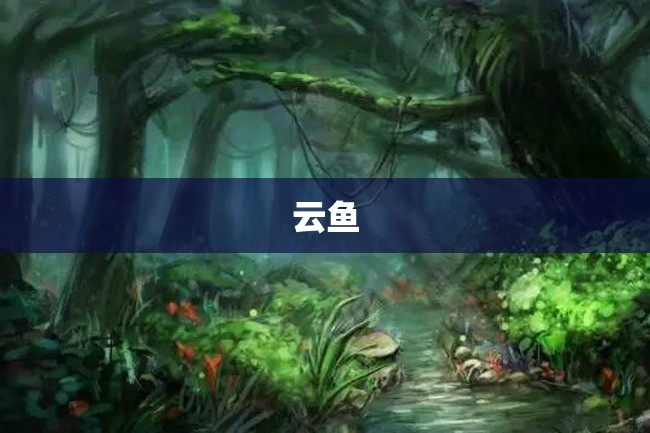 云鱼