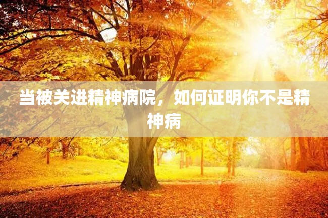 当被关进精神病院,如何证明你不是精神病