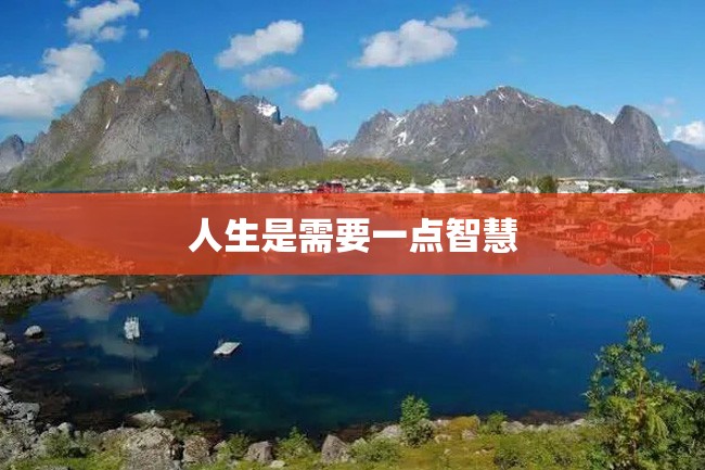 人生是需要一点智慧
