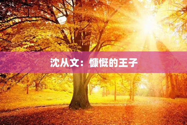 沈从文：慷慨的王子