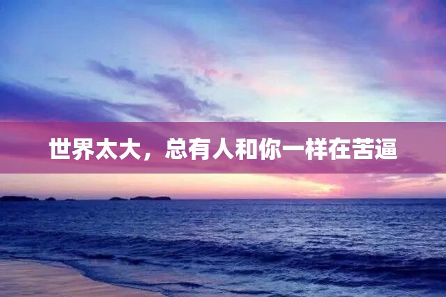 世界太大,总有人和你一样在苦逼