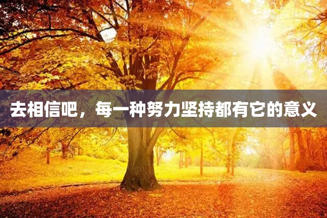 去相信吧,每一种努力坚持都有它的意义