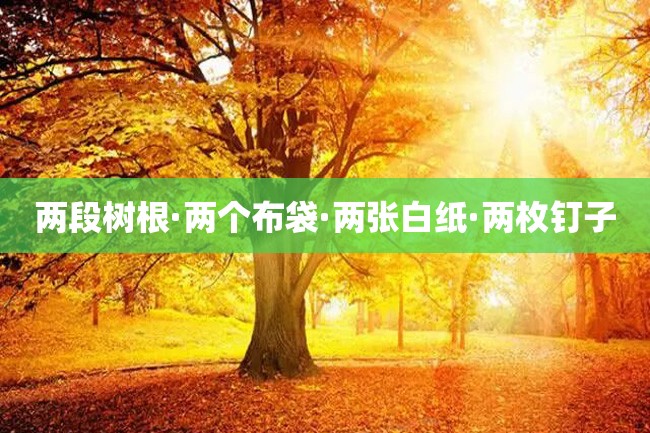 两段树根·两个布袋·两张白纸·两枚钉子