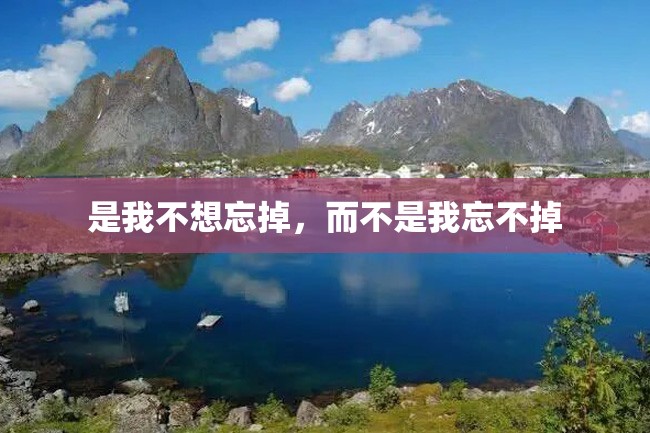 是我不想忘掉,而不是我忘不掉
