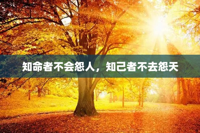 知命者不会怨人,知己者不去怨天
