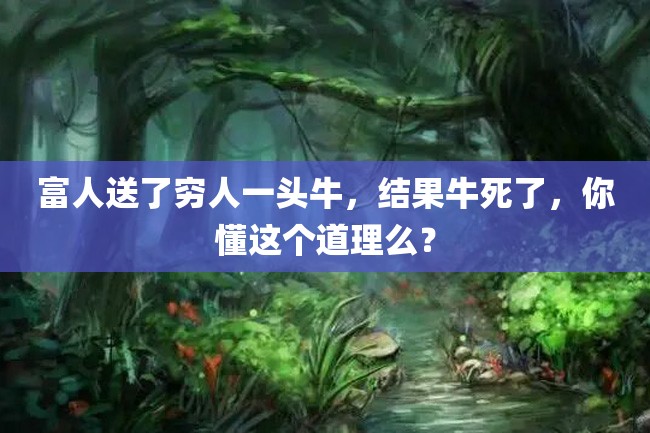 富人送了穷人一头牛,结果牛死了,你懂这个道理么?