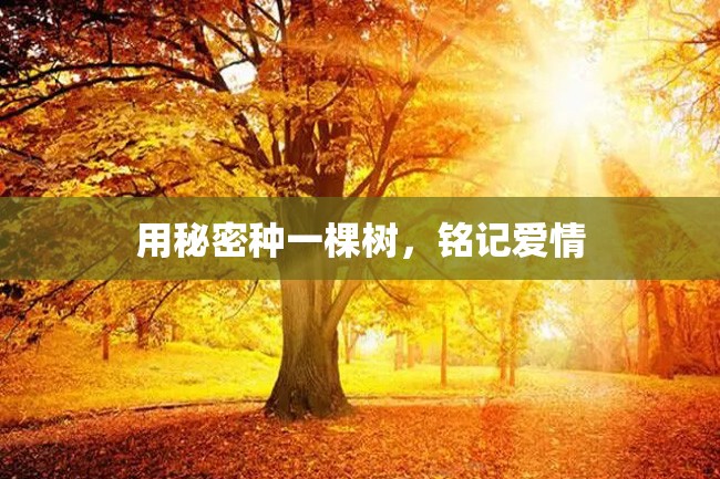 用秘密种一棵树,铭记爱情