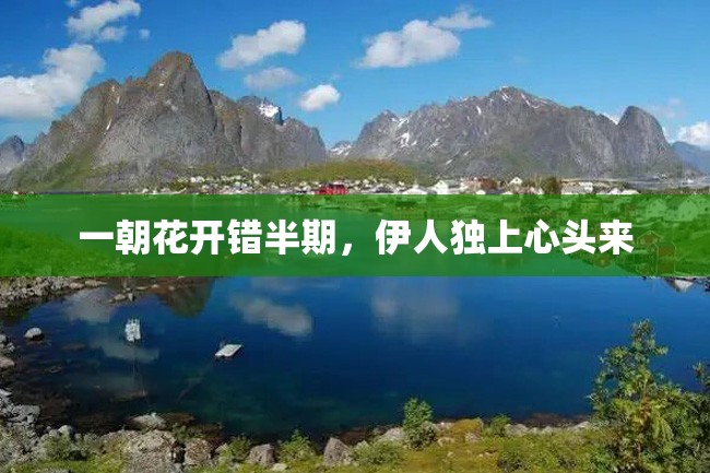一朝花开错半期,伊人独上心头来