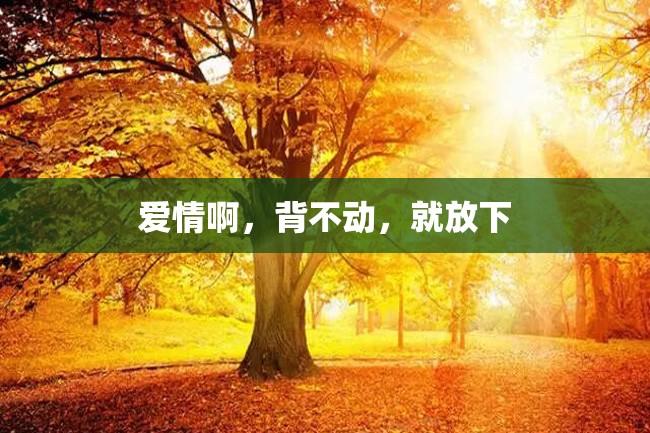 爱情啊，背不动，就放下