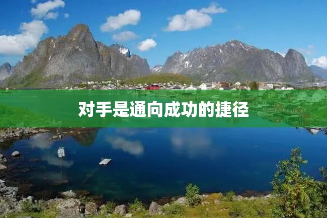 对手是通向成功的捷径
