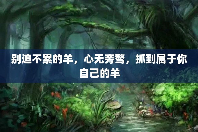 别追不累的羊,心无旁骜,抓到属于你自己的羊