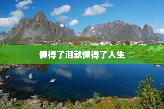 懂得了泪就懂得了人生