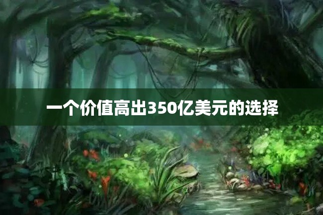 一个价值高出350亿美元的选择