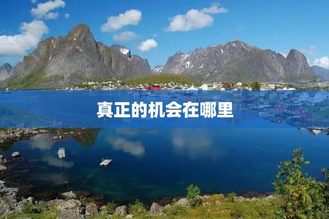 真正的机会在哪里