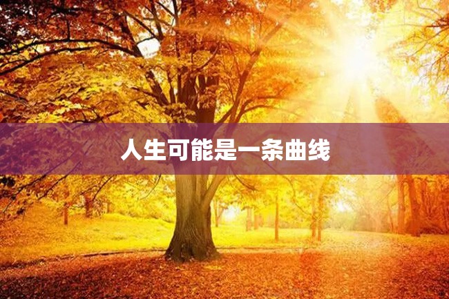 人生可能是一条曲线