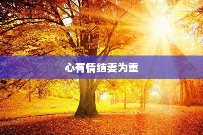 心有情结妻为重