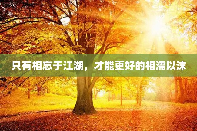 只有相忘于江湖,才能更好的相濡以沫