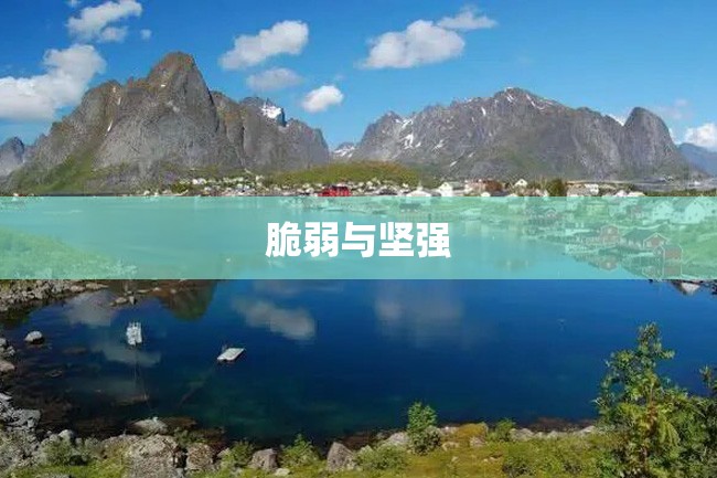 脆弱与坚强