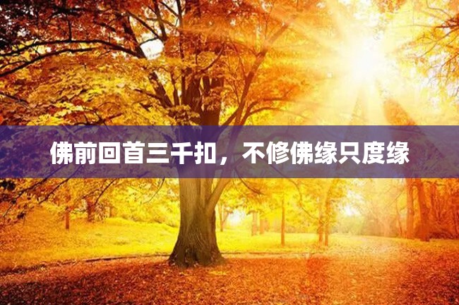 佛前回首三千扣,不修佛缘只度缘