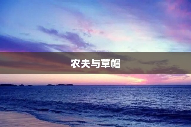 农夫与草帽