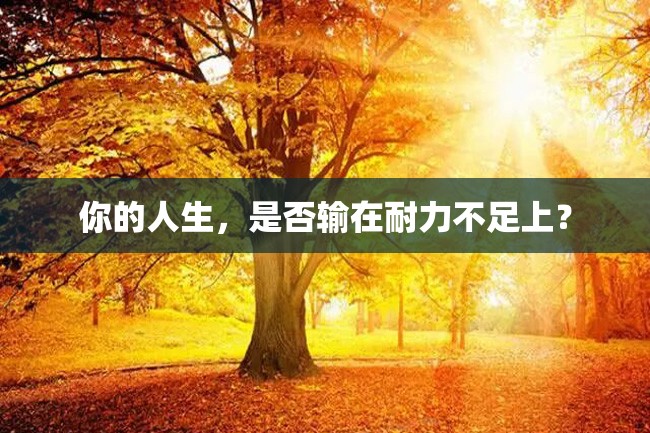 你的人生,是否输在耐力不足上?